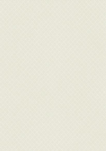 Finetouch Laminate 1mm - 103 SO - Frosty White