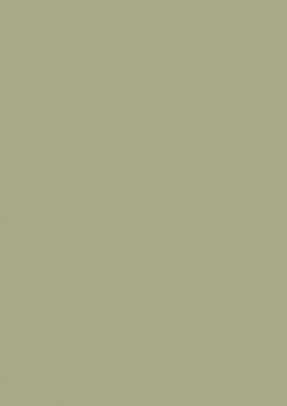 Finetouch Laminate 1mm - 107 HGL - African Plain