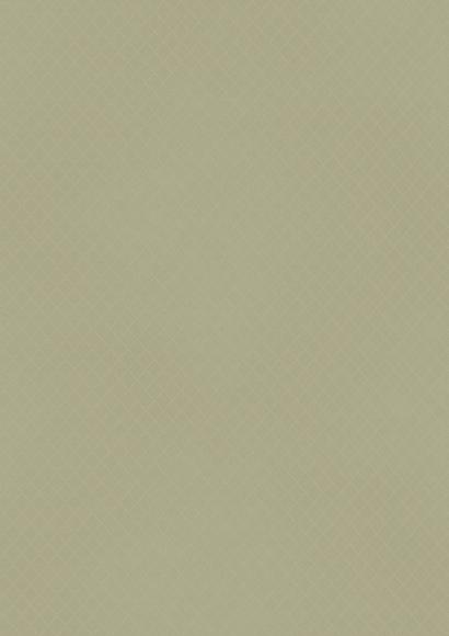 Finetouch Laminate 1mm - 107 SO - African Plain